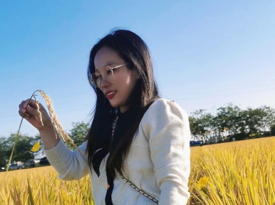 东莞周屋稻田公园,邂逅身边的最美秋色